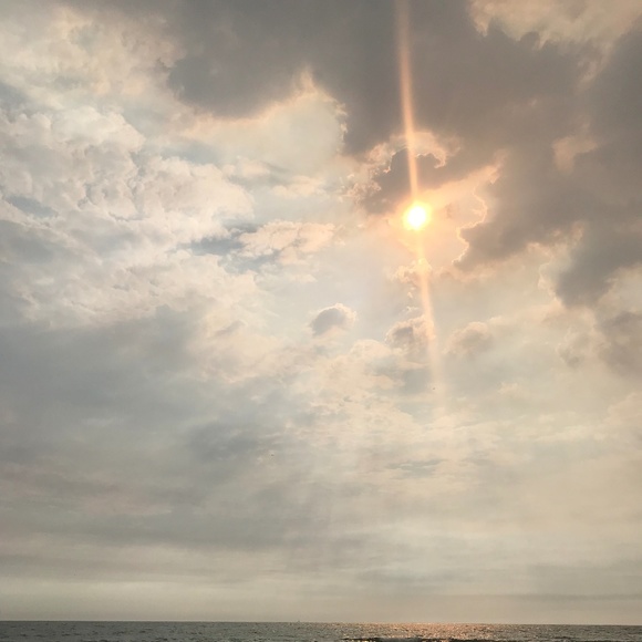 Meet your Posher, Vanessa - Picture 1 of 1